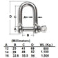 51/64” D-Shackle 20 mm