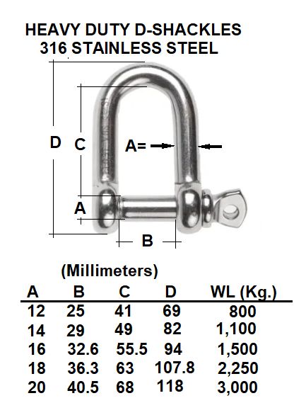 51/64” D-Shackle 20 mm